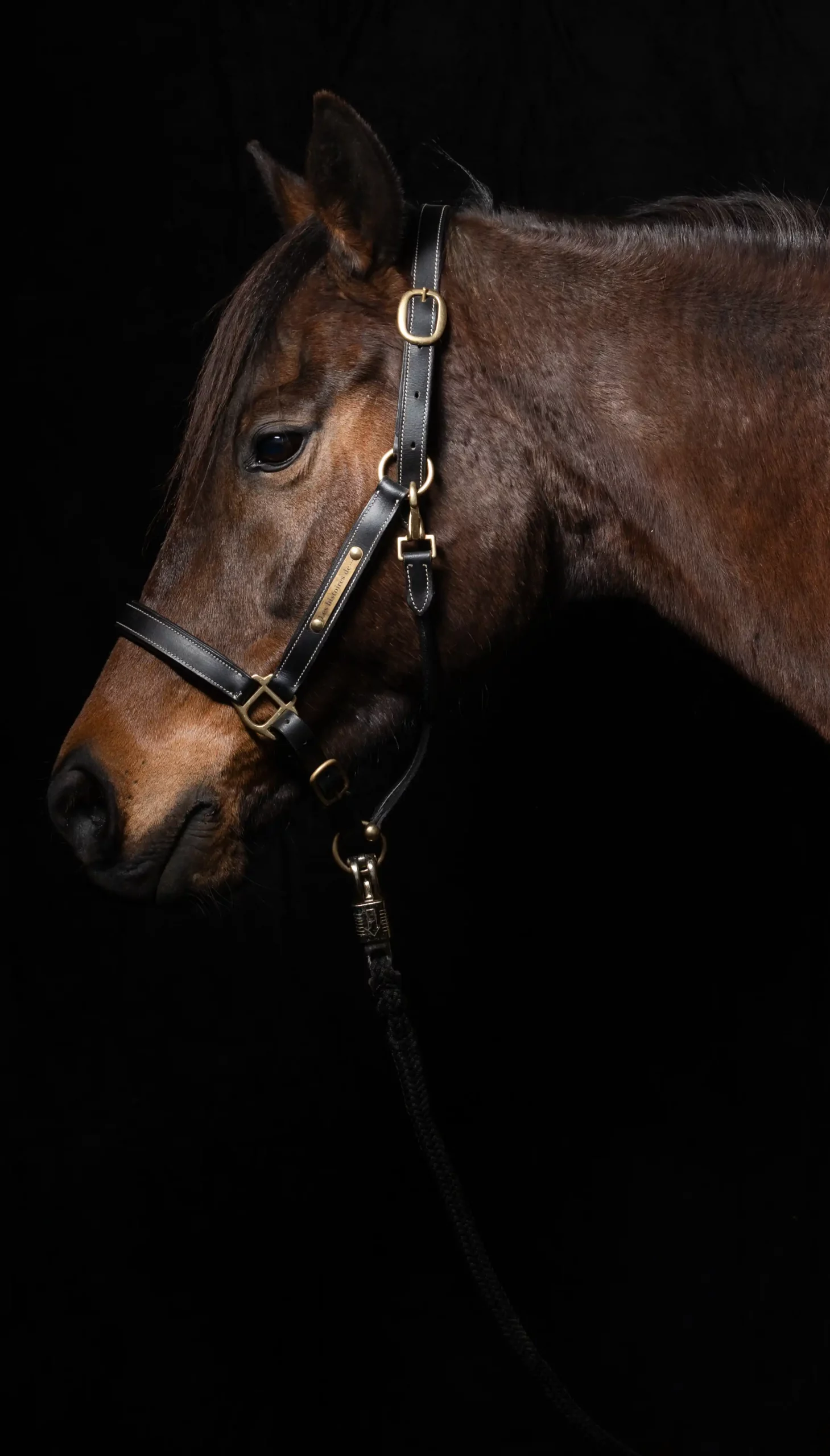 Entreprise - Portrait