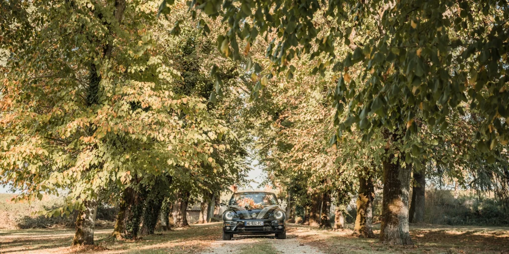 25-10-18 Mariage Philippe et Patrick 11